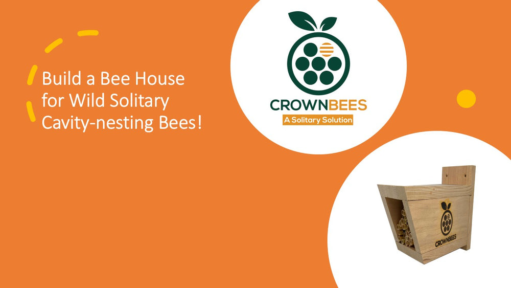 Kids Discover Wild Bees: Build a Bee House Presentation