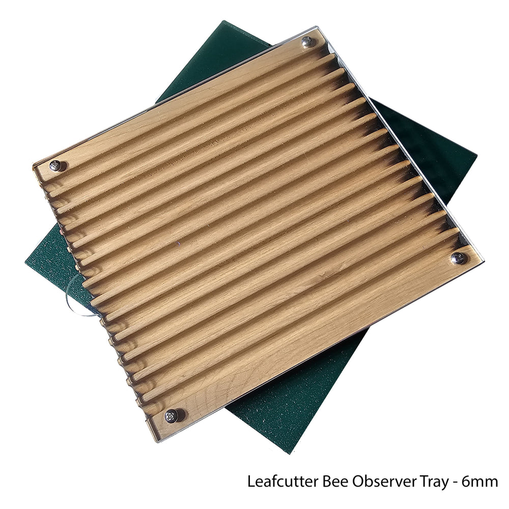 
                  
                    Bee Observer - Solitary Bee Observation Tray
                  
                