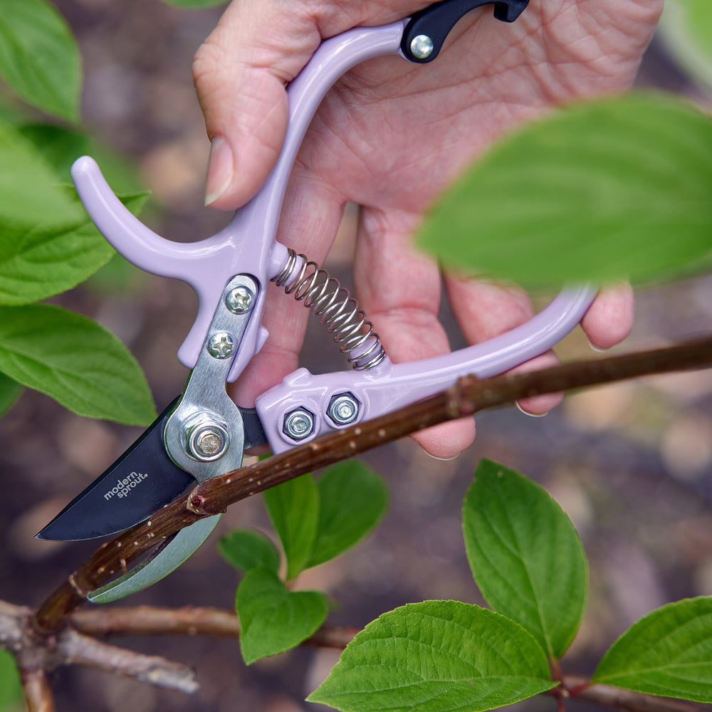 scissors garden Gardening Shears & Pruners