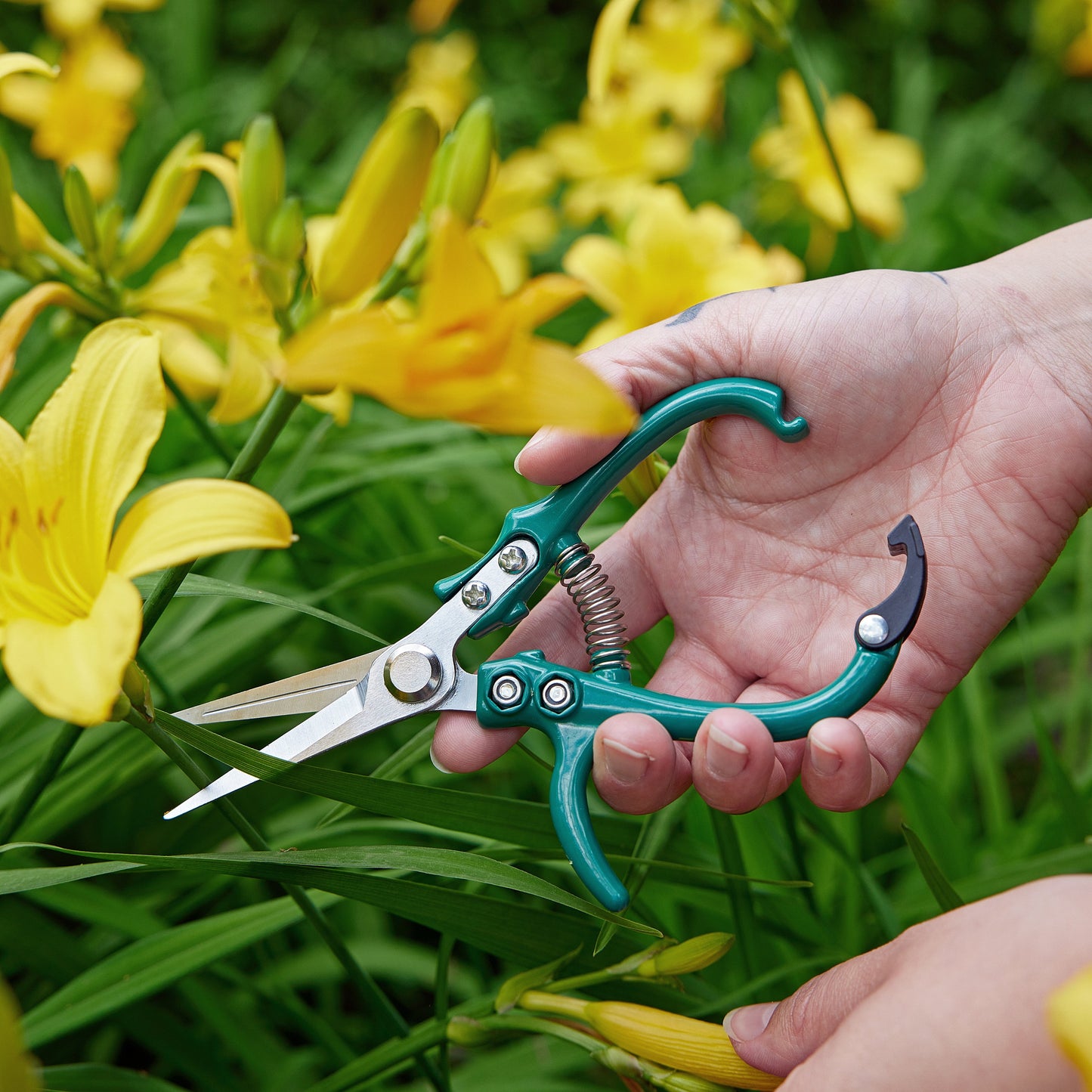 
                  
                    Gardening Shears & Pruners
                  
                