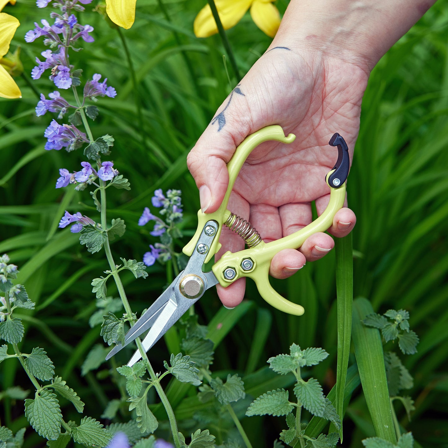 
                  
                    Gardening Shears & Pruners
                  
                