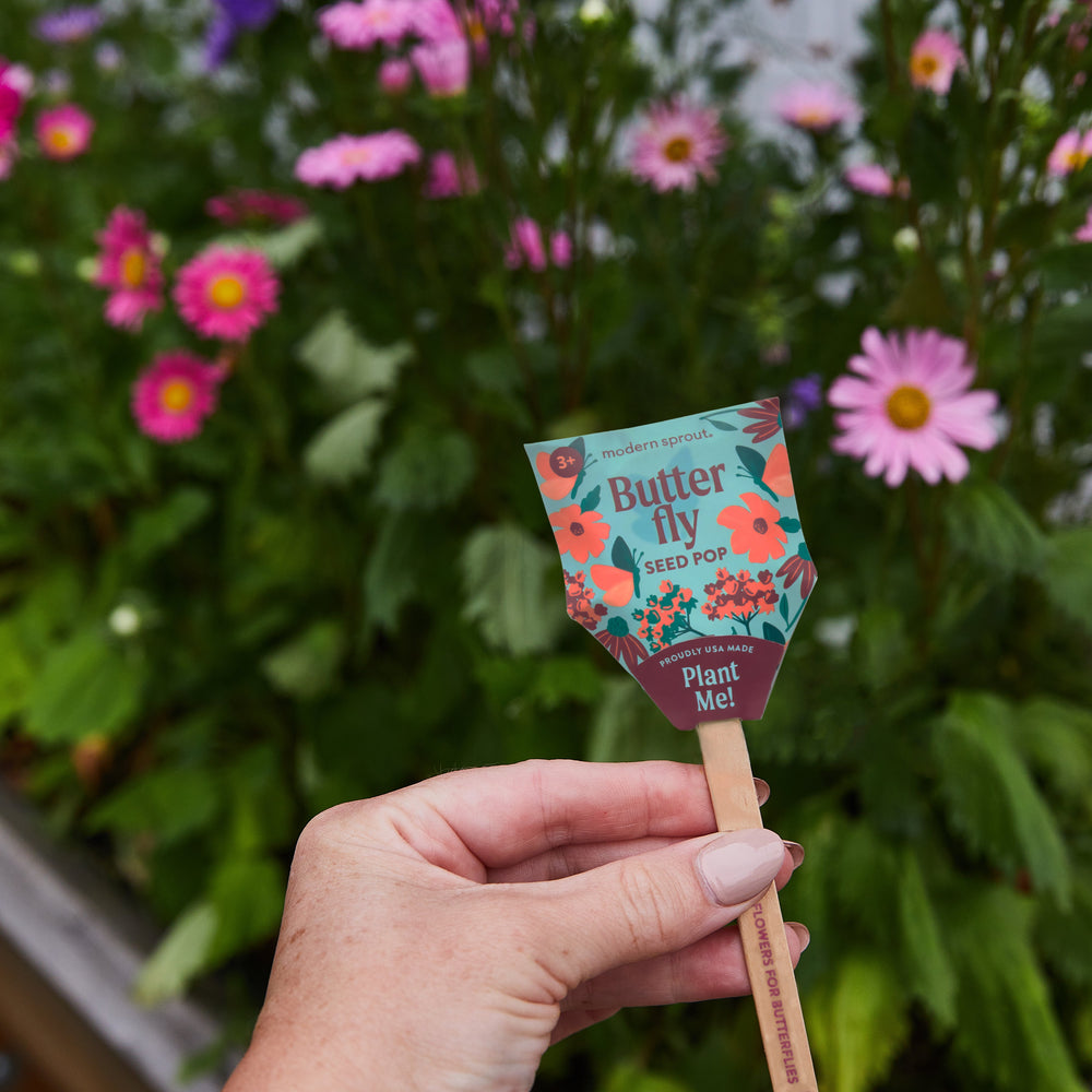 bumble bee seed pop planting instructions Pollinator Seed Pop