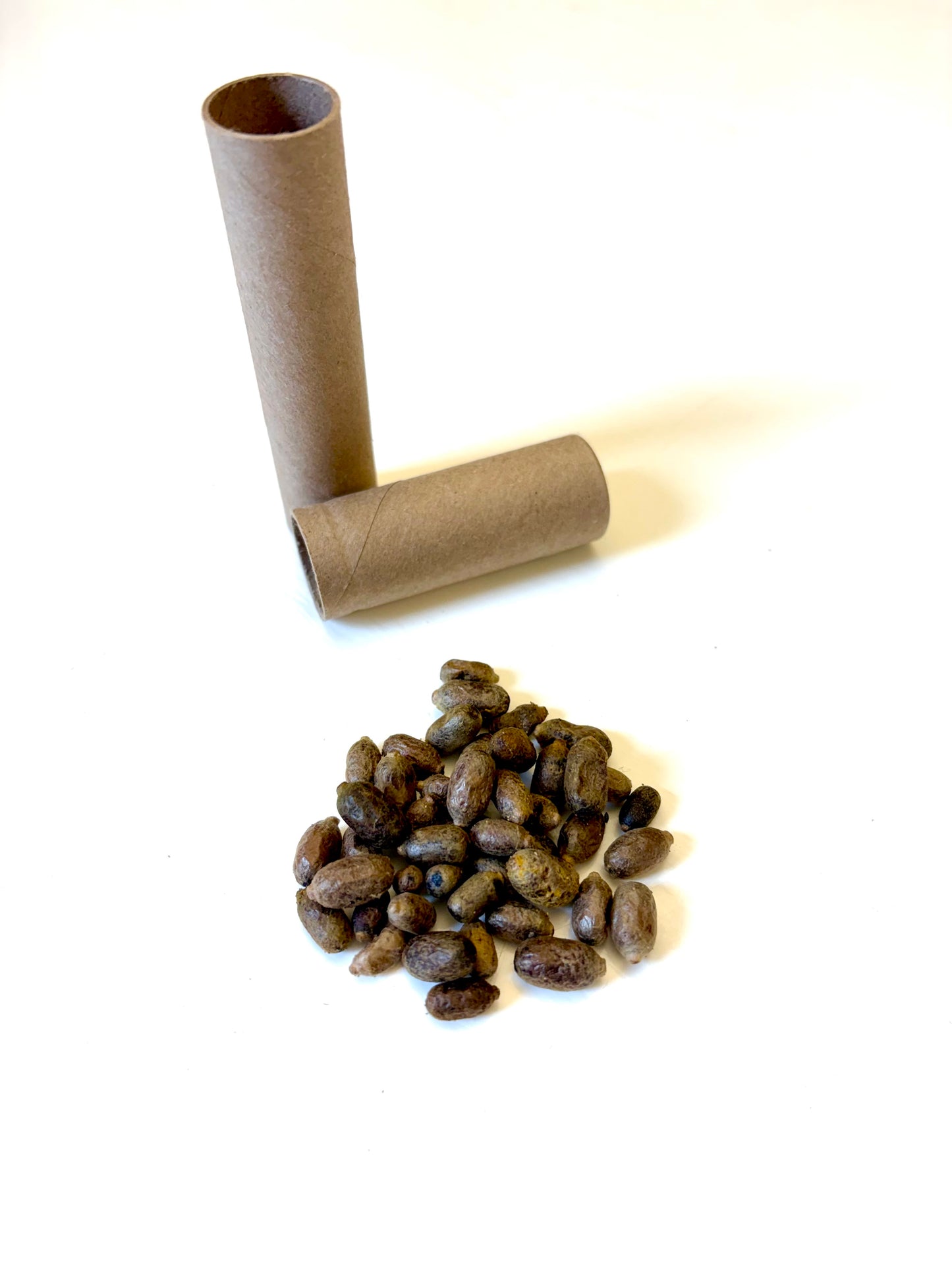 Spring Mason Bees (40ct) + FedEx 2-Day FREE Shipping