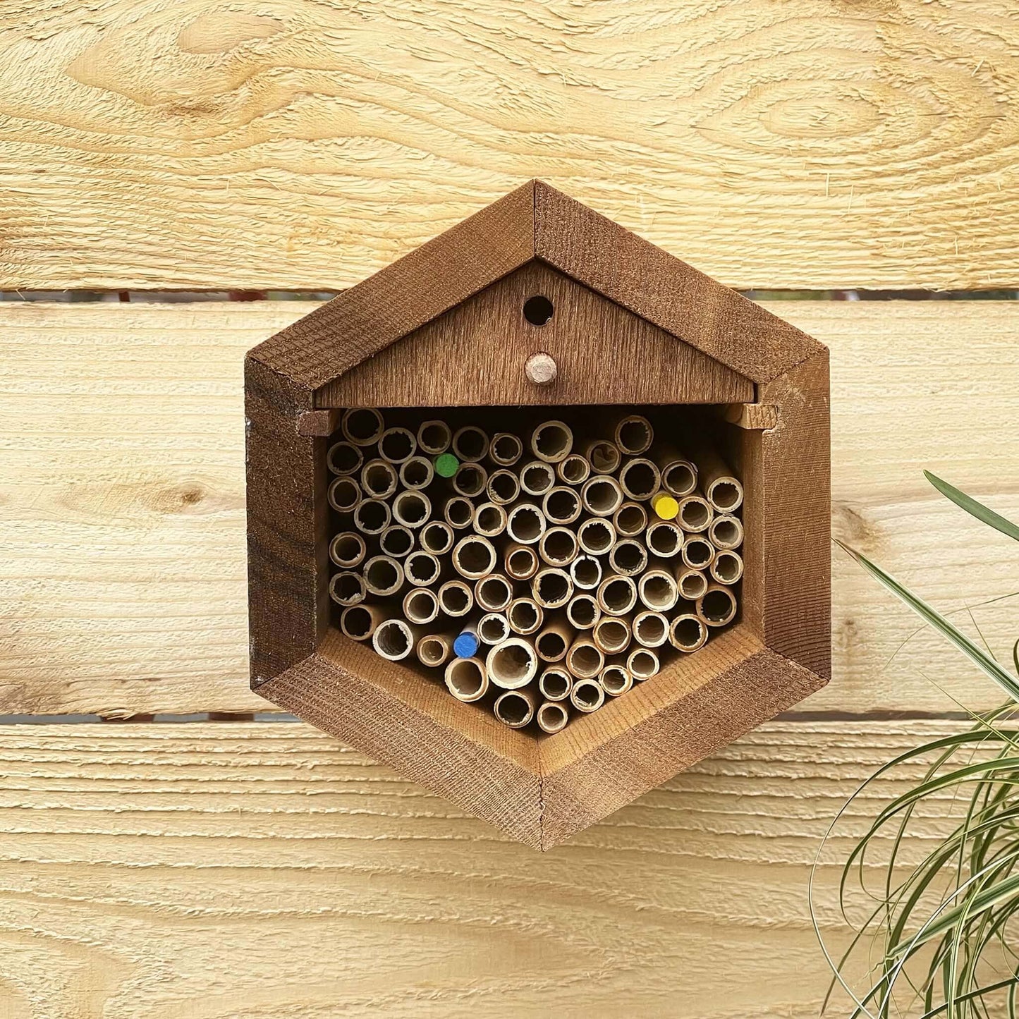 
                  
                    Cabana Bee House - Small Hex
                  
                