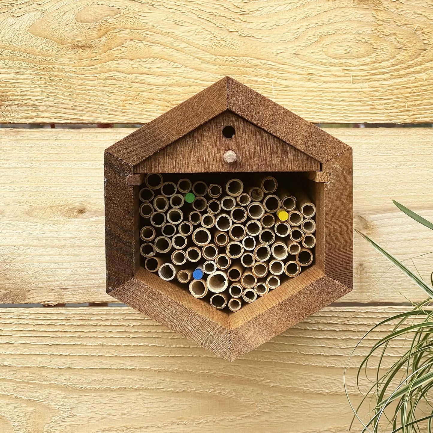Bee Reed Splitter Villa Bee House - Large Hex
