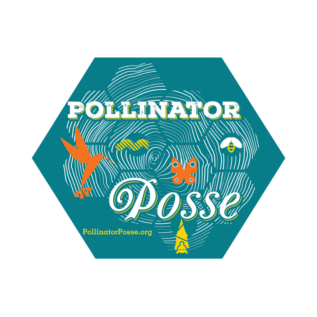 Pollinator PosseThe Pollinator Posse develops and encourages pollinator-friendly landscaping and fosters appreciation for local ecosystems through outreach, education, community science and habitat creation. With eco-friendly landscape techniques at the heart of our work, they teach respect for the creatures which keep the world blooming.