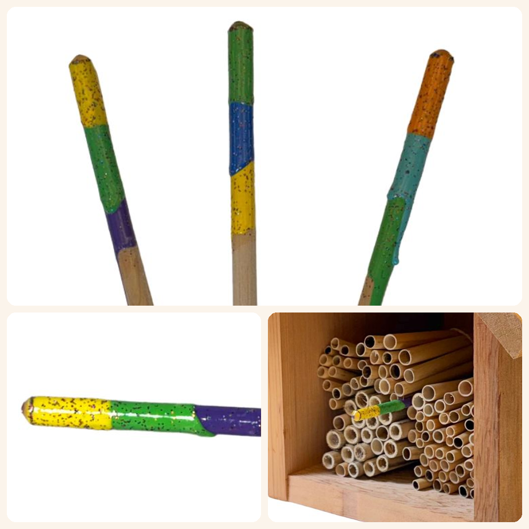 Support a Classroom with a Rainbow Wayfinder