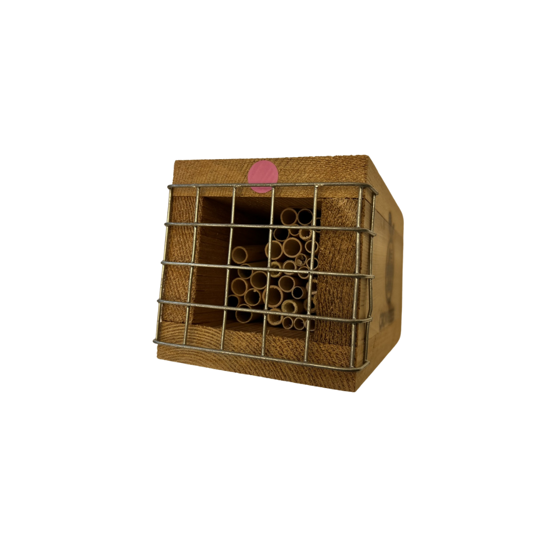 
                  
                    Rewild Refuge bee house front view showing mixed-diameter natural reed nesting tubes and BeePop locator sticker
                  
                