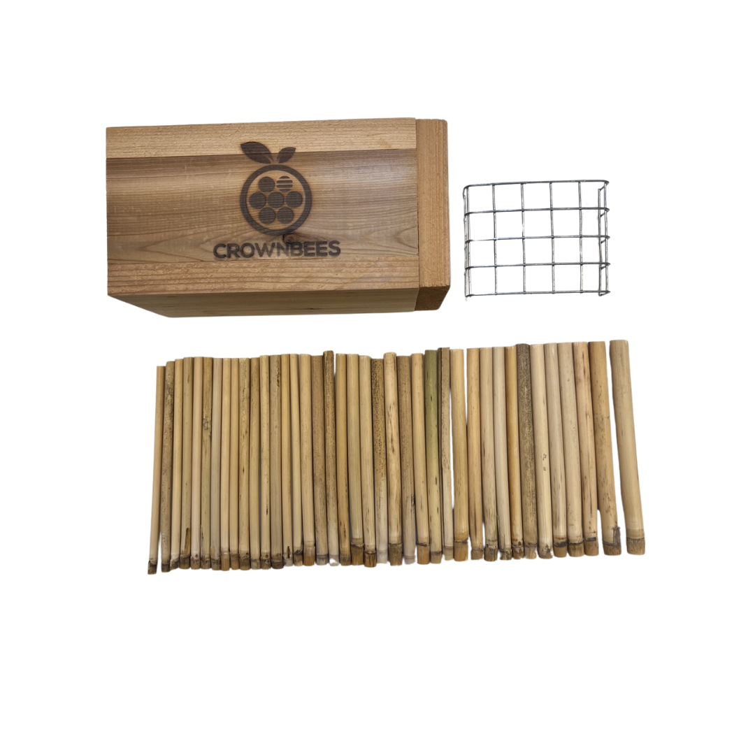 
                  
                    Rewild Refuge Bee House Set contents — cedar house, BirdGuard wire guard, and 40-count mixed natural reed pollinator pack
                  
                