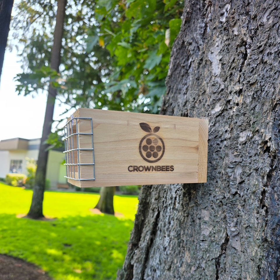 Rewild Refuge wild bee house mounted on tree in outdoor setting — designed for rewilding and pollinator habitat
