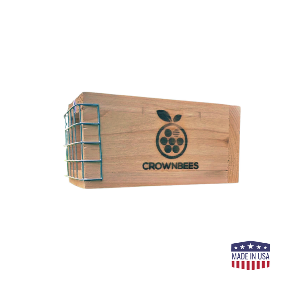 Rewild Refuge Bee House Set