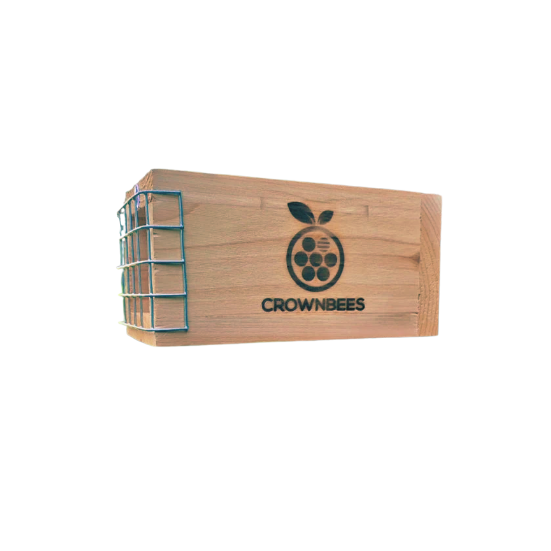 Crown Bees Rewild Refuge Bee House Set — sustainably sourced Pacific NW cedar with BirdGuard, Made in USA