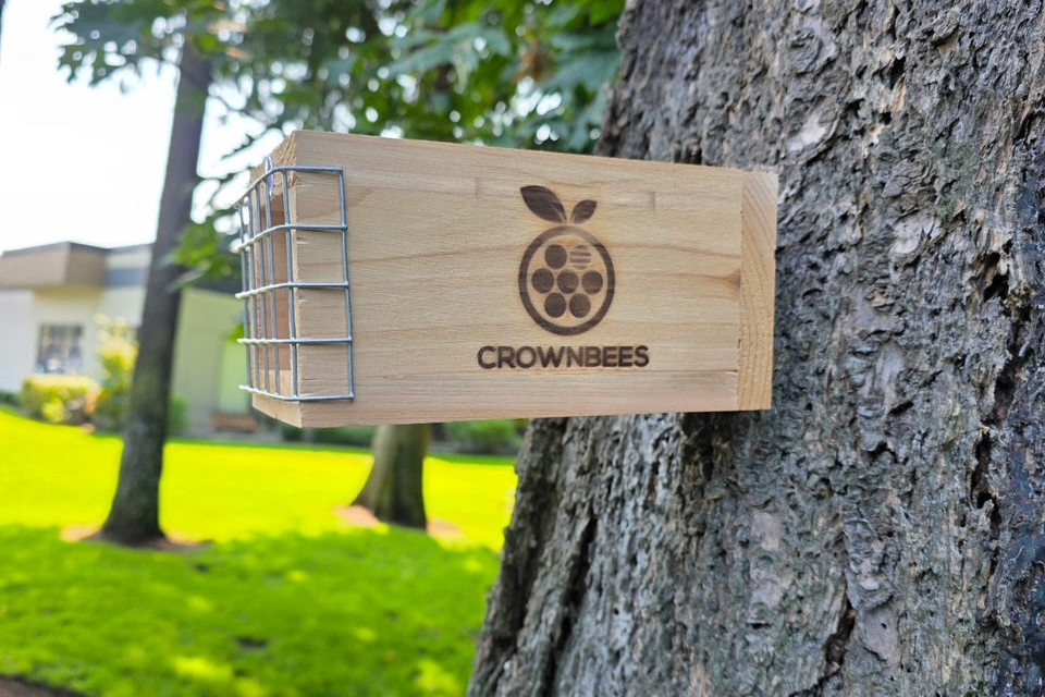 REWILD REFUGE BEE HOUSE INSTRUCTIONS