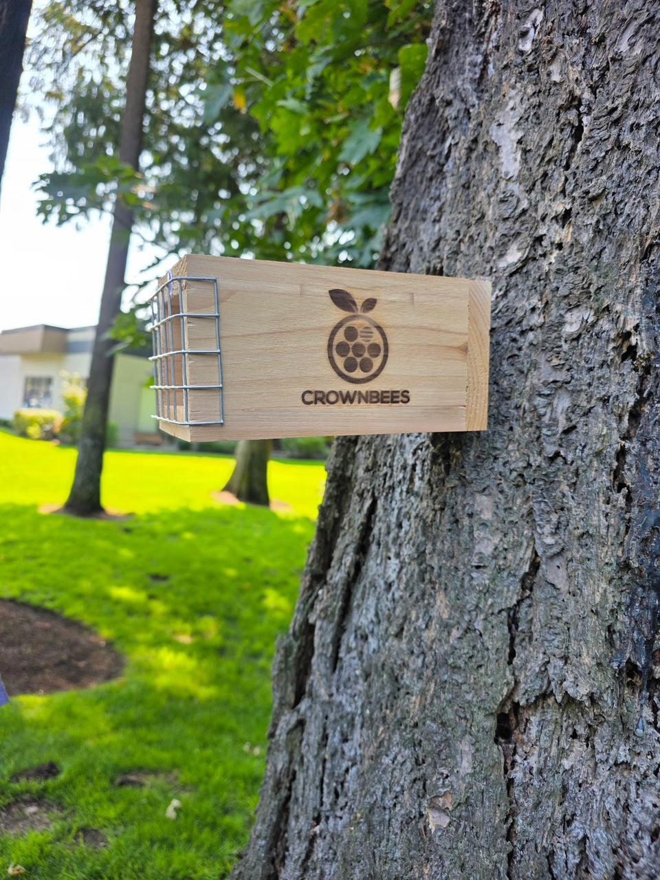 Rewild Refuge Bee House Set