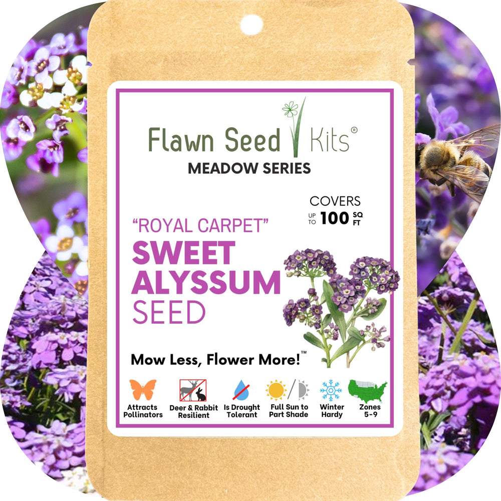 carpet flower seeds Sweet Alyssum Royal Carpet Seed Pouch