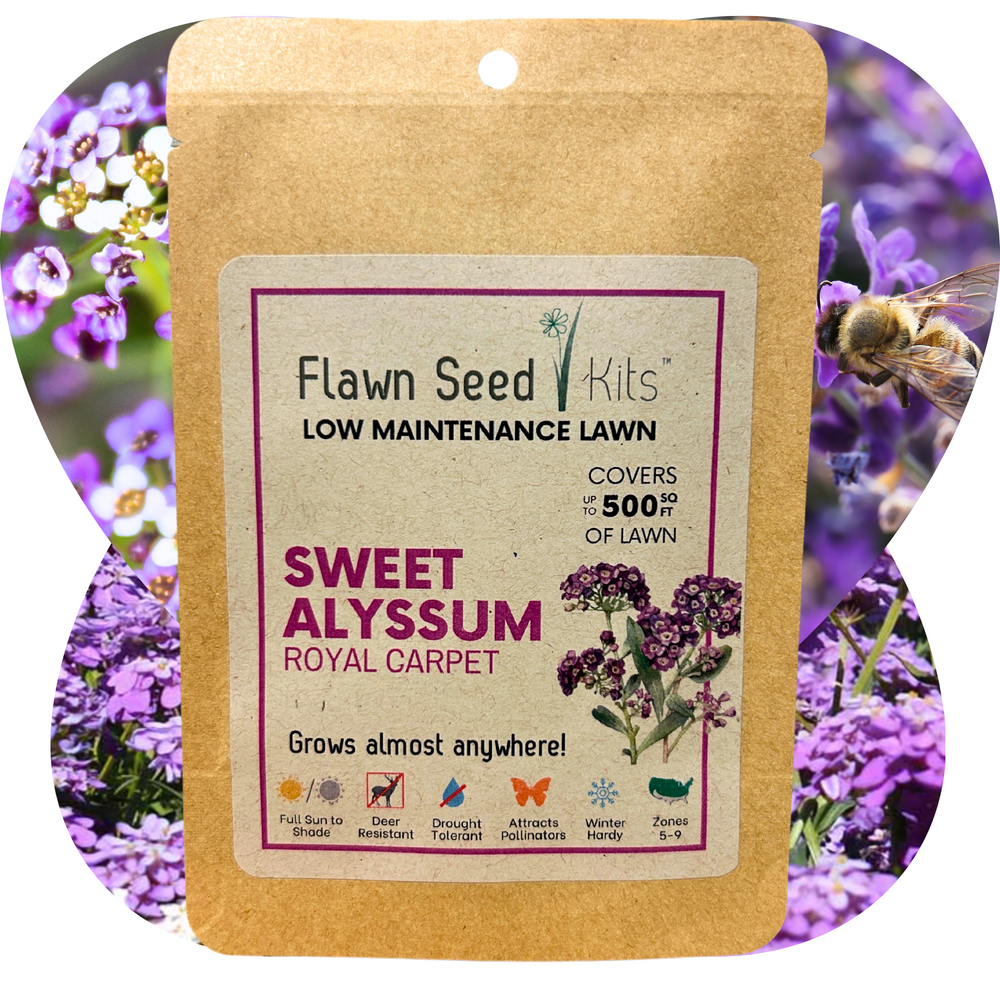 Sweet Alyssum Royal Carpet Seed Pouch