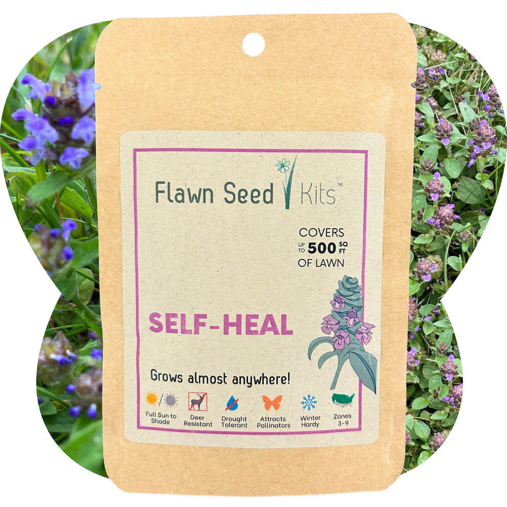 Self-Heal Seed Pouch