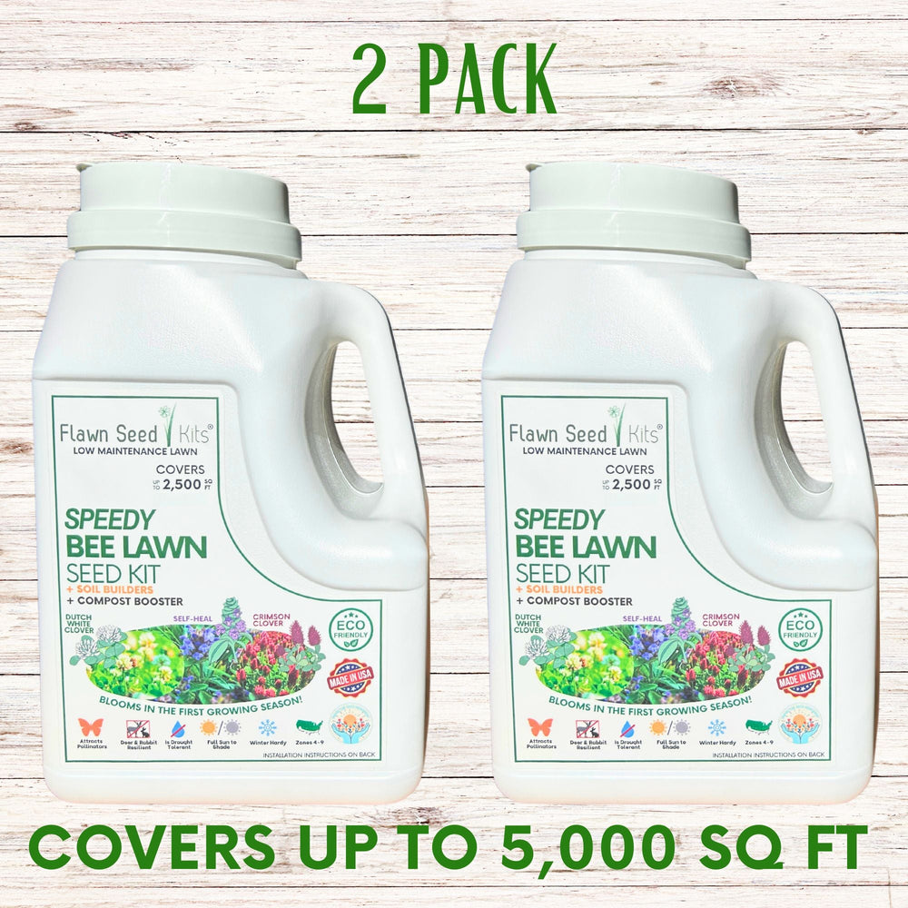 bee ready garden kit seed bank Speedy Bee Lawn Seed Kit