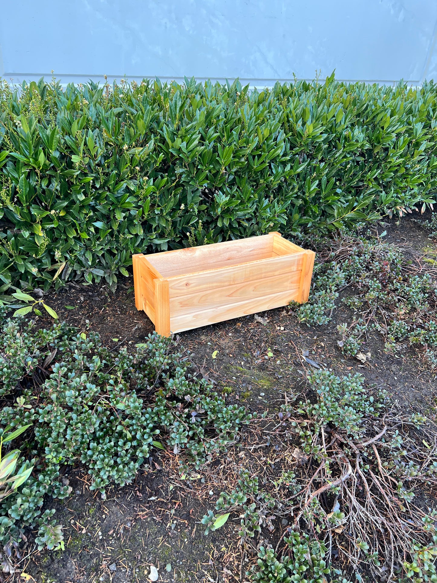 
                  
                    Seasonal Serenity Cedar Planter
                  
                