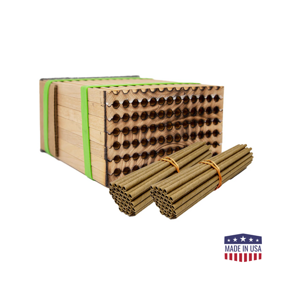 Small Bee Discovery Kit