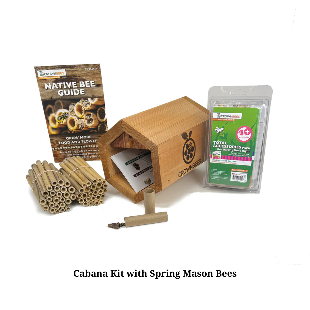 Spring Mason Cabana Kit with Bees