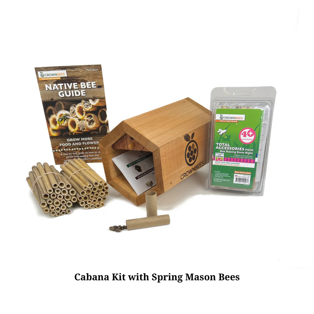 Cabana Bee House Kit with Bees