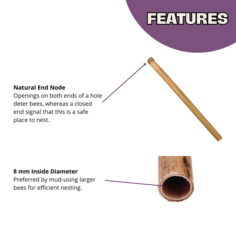 Bee Reed Splitter Natural Reeds for Mason Bees | Nesting Materials for Bee Houses