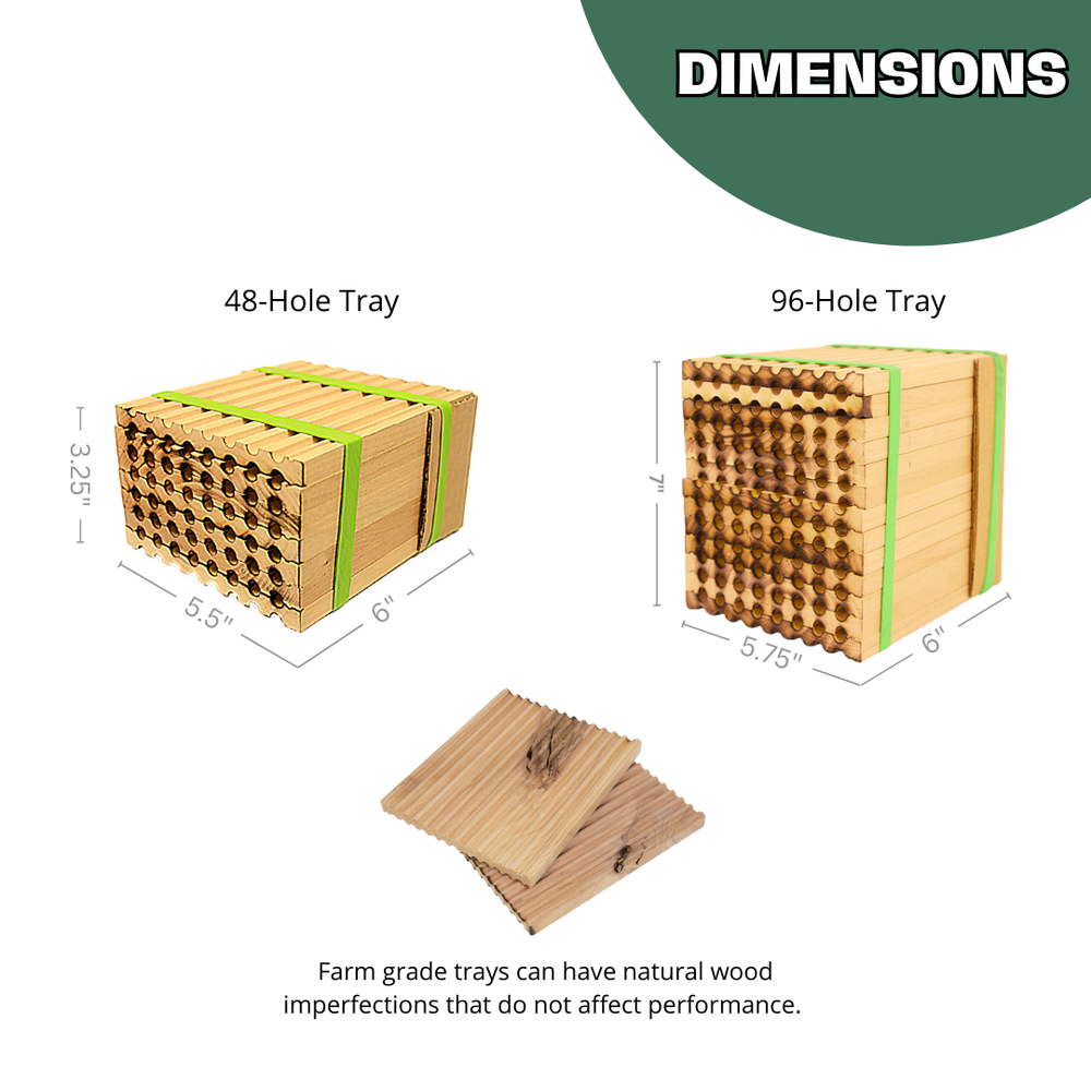 
                  
                    Spring Farm Grade Reusable Wood Trays for Mason Bees - 8mm
                  
                