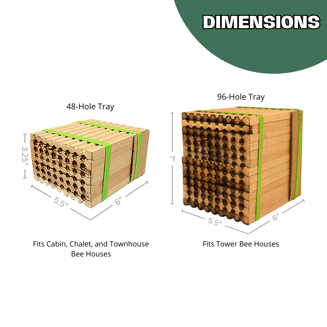 
                  
                    Spring Reusable Wood Trays for Mason Bees - 8mm
                  
                