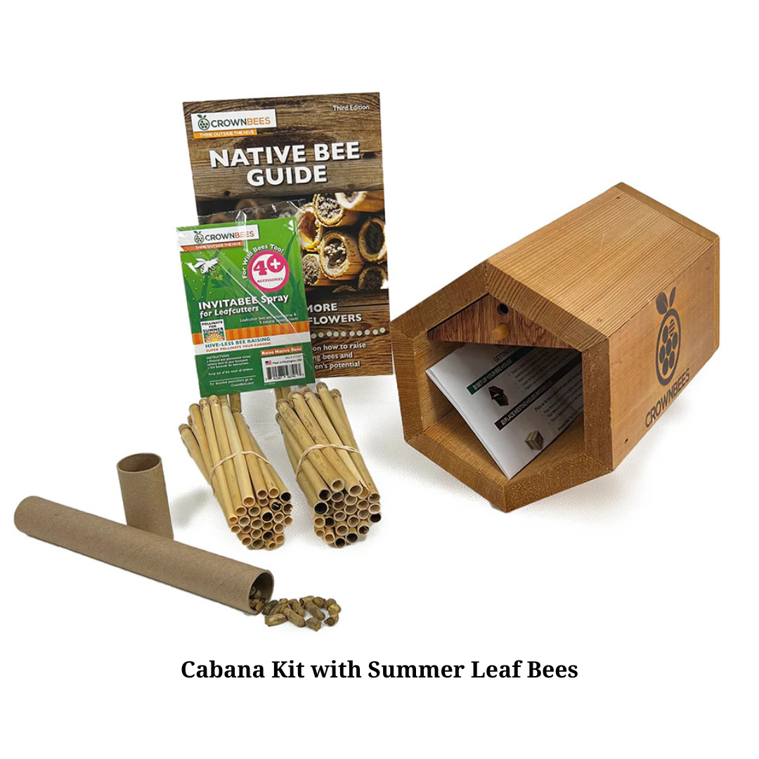 Summer Leaf bee Cabana Kit with Bees