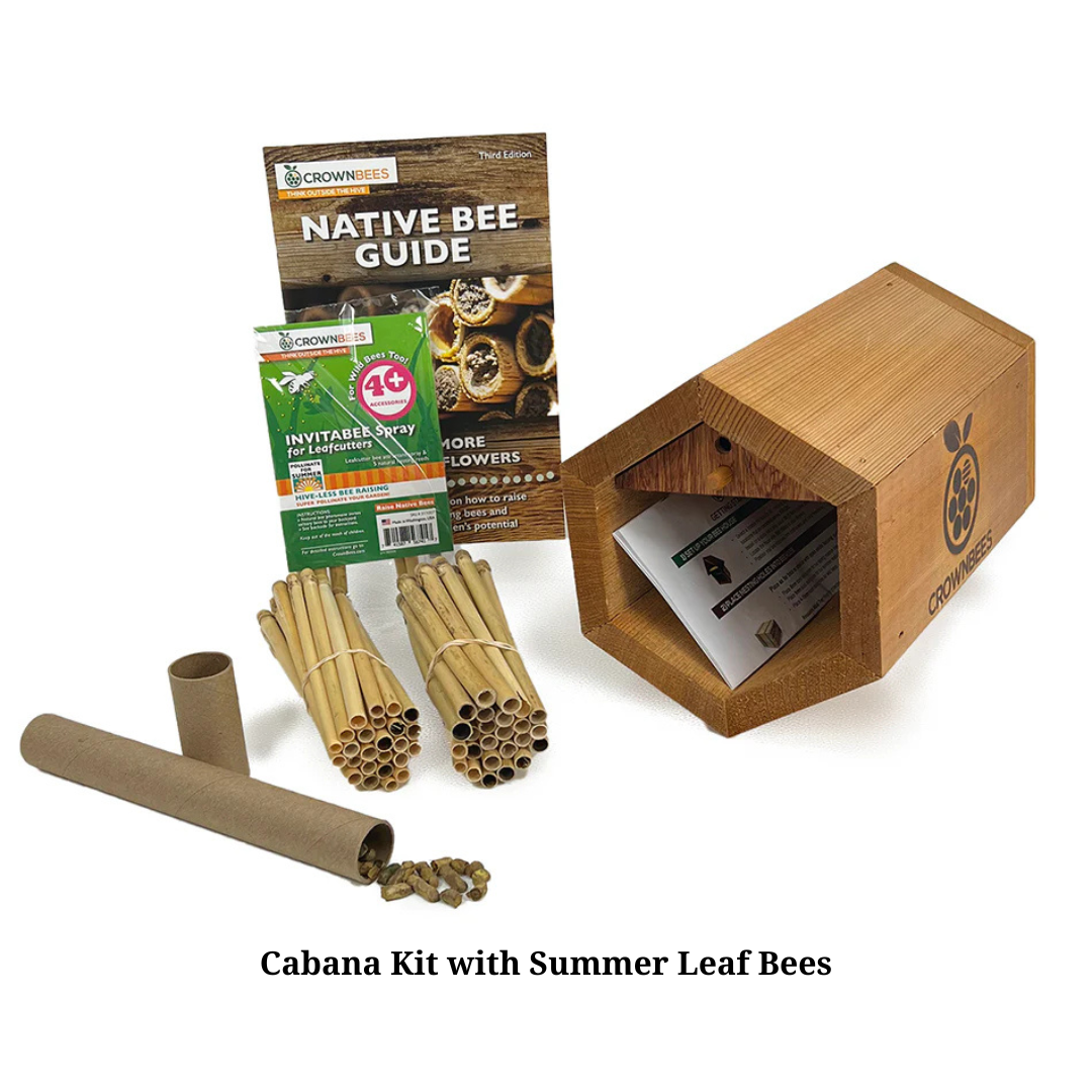 Cabana Bee House Kit with Bees