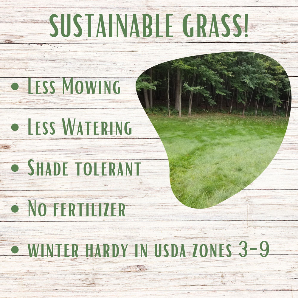 planting grass seed without fertilizer Mow Less Grass Seed Shaker
