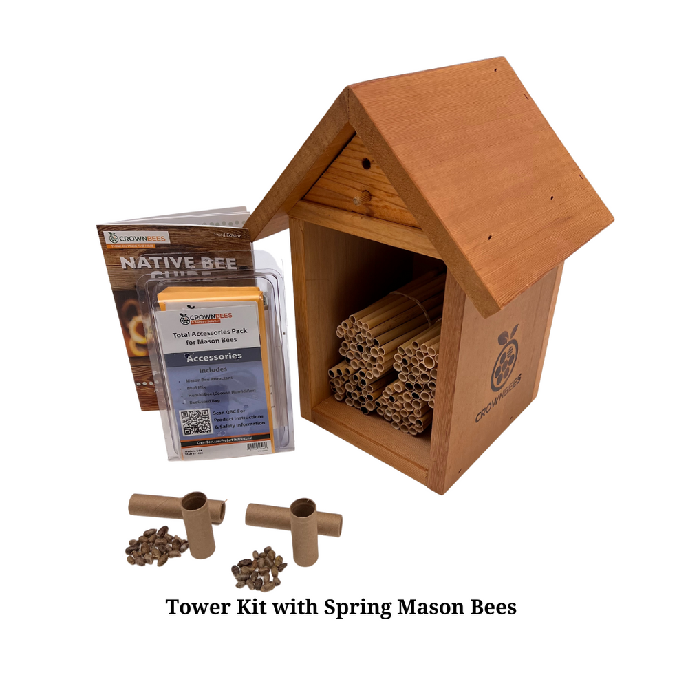 Tower Bee House Kit with Bees