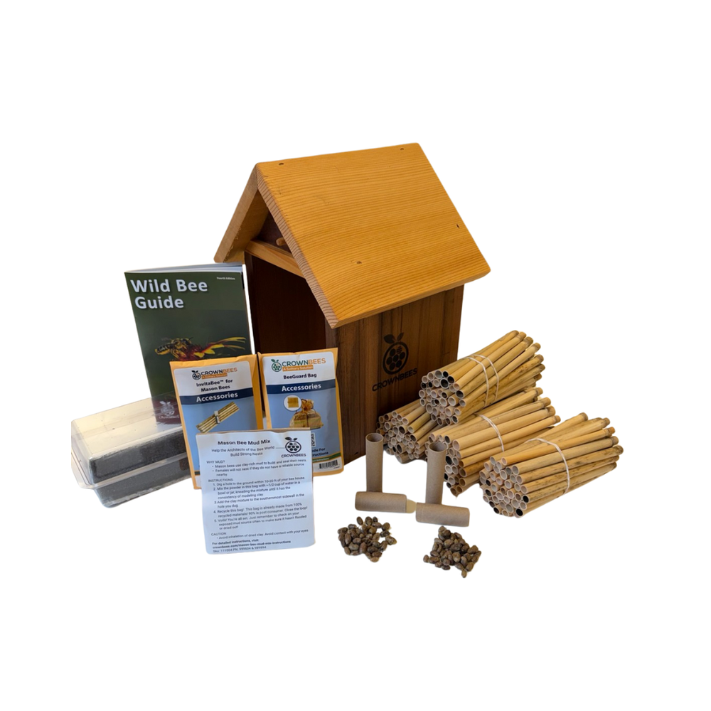 Tower Bee House Kit with Bees