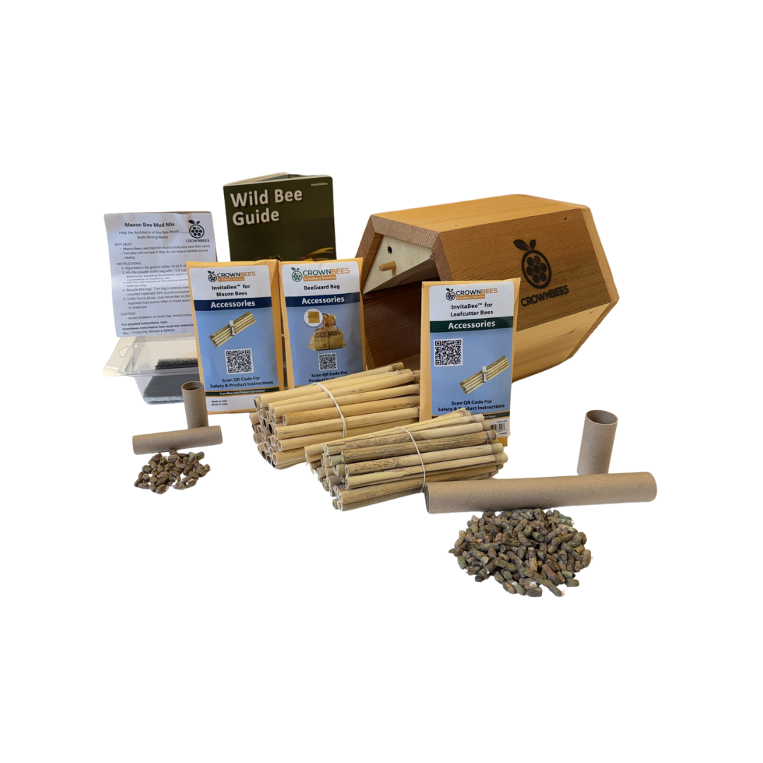Villa Bee House Kit with Bees
