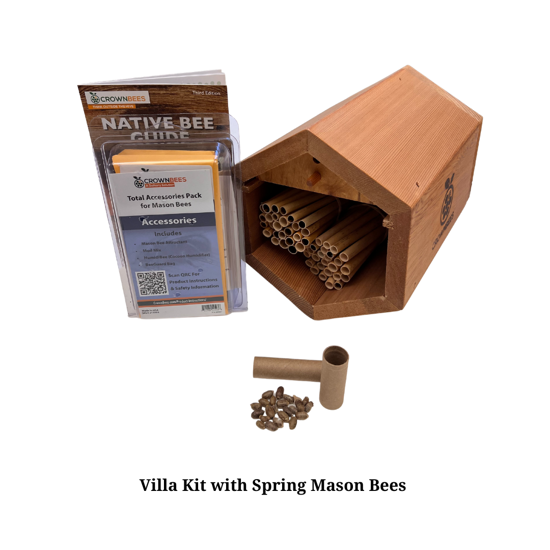 Villa Bee House Kit with Bees