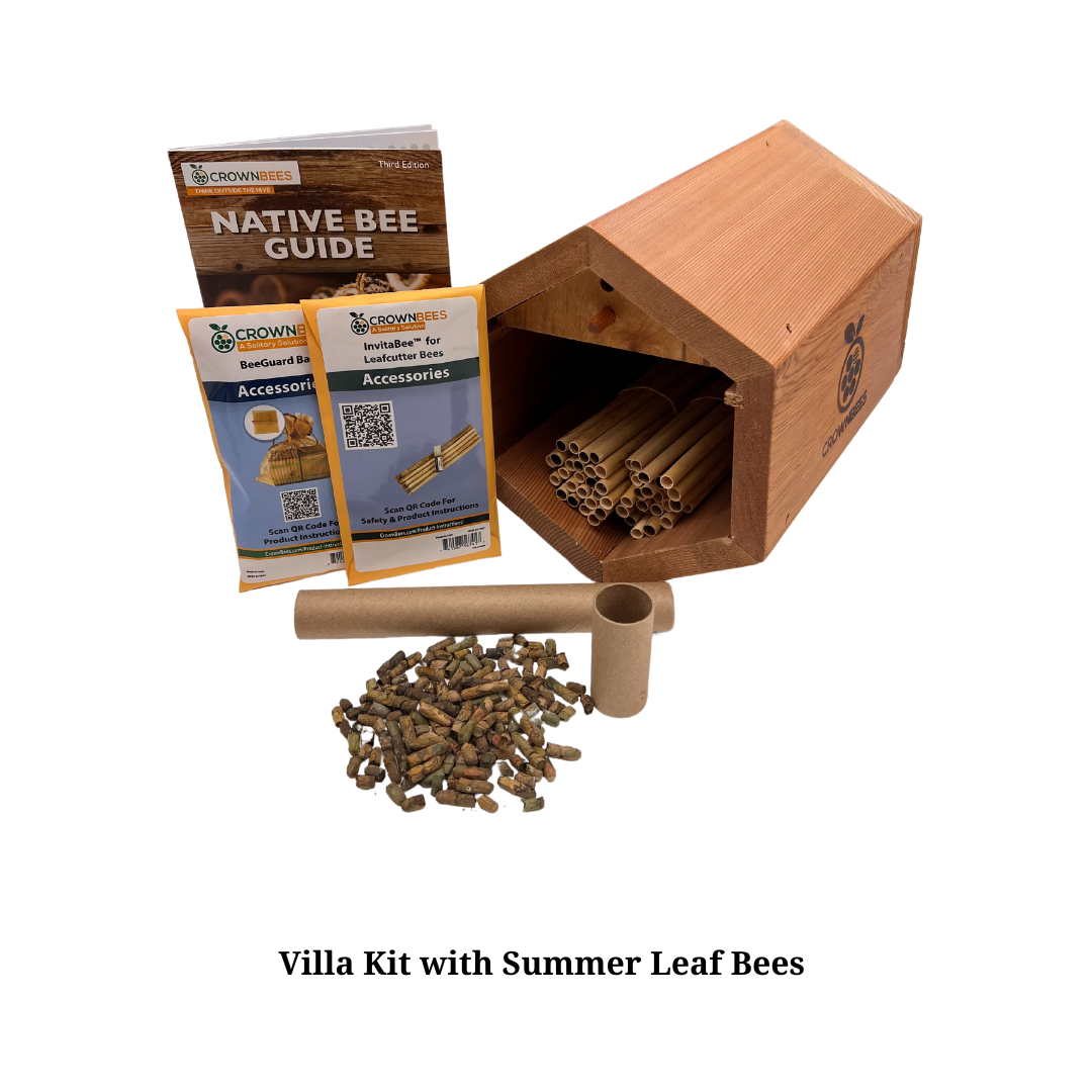 Villa Bee House Kit with Bees