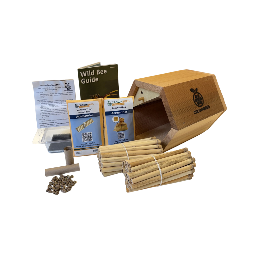 Villa Bee House Kit with Bees