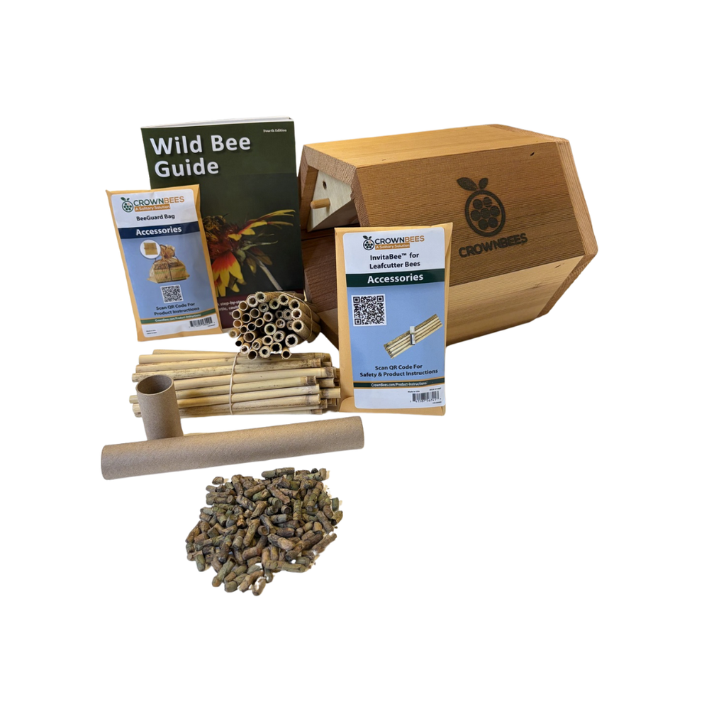 Villa Bee House Kit with Bees
