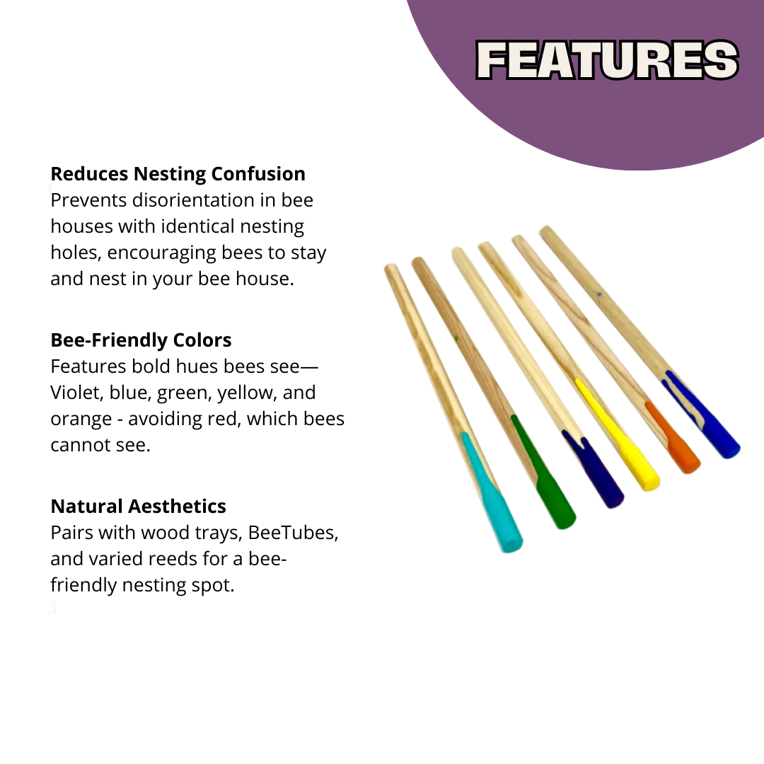 
                  
                    Bee Wayfinders - Mason Bees
                  
                