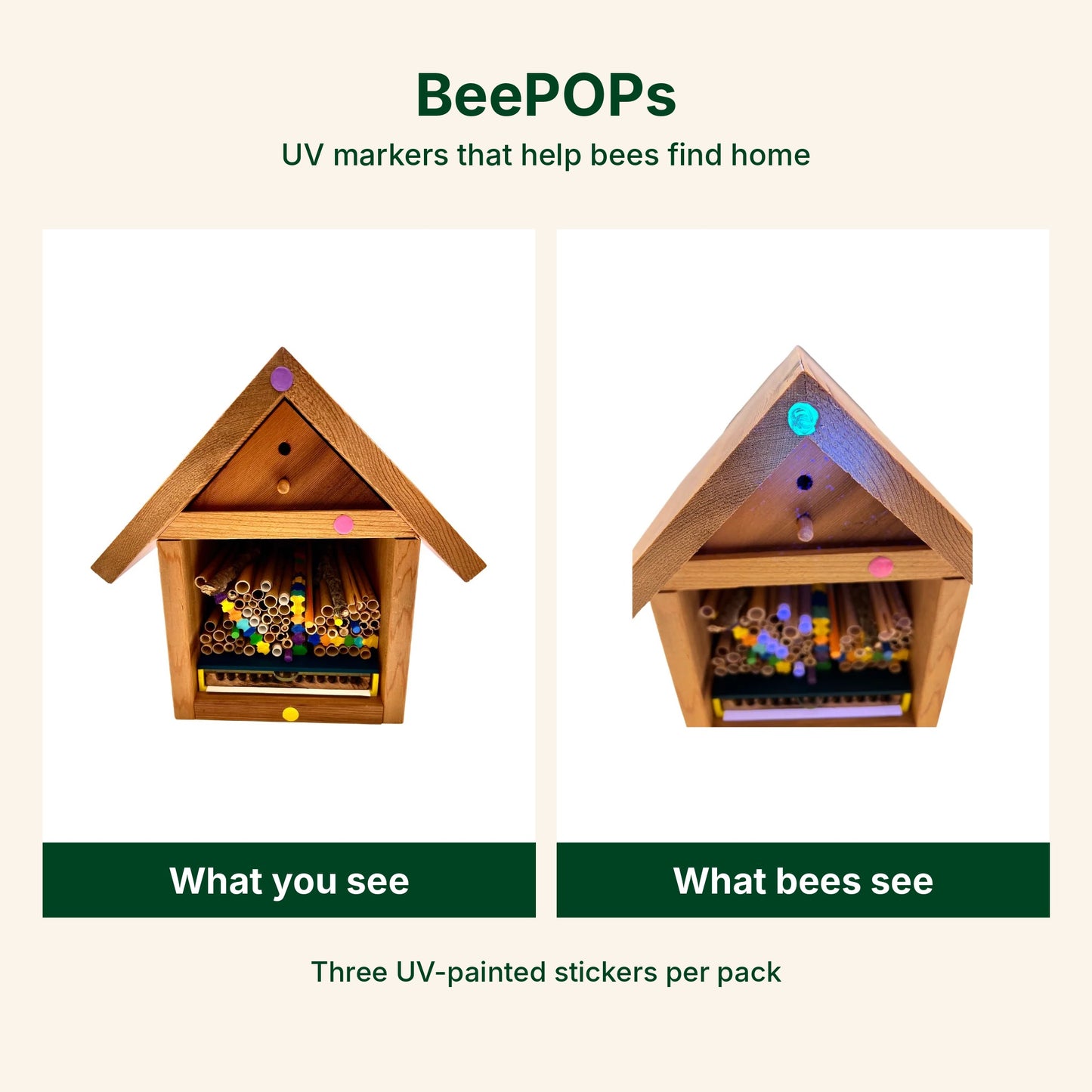BeePOPs
