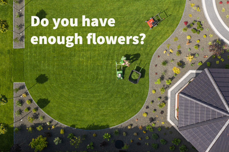 Do you have enough flowers for pollinators?