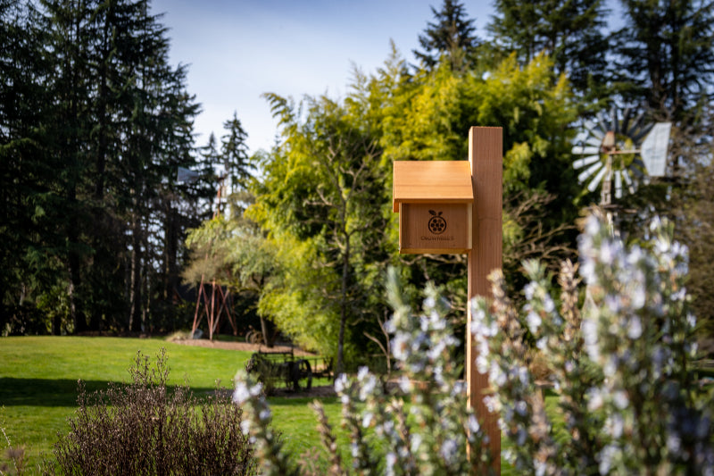 Already Raising Bees?