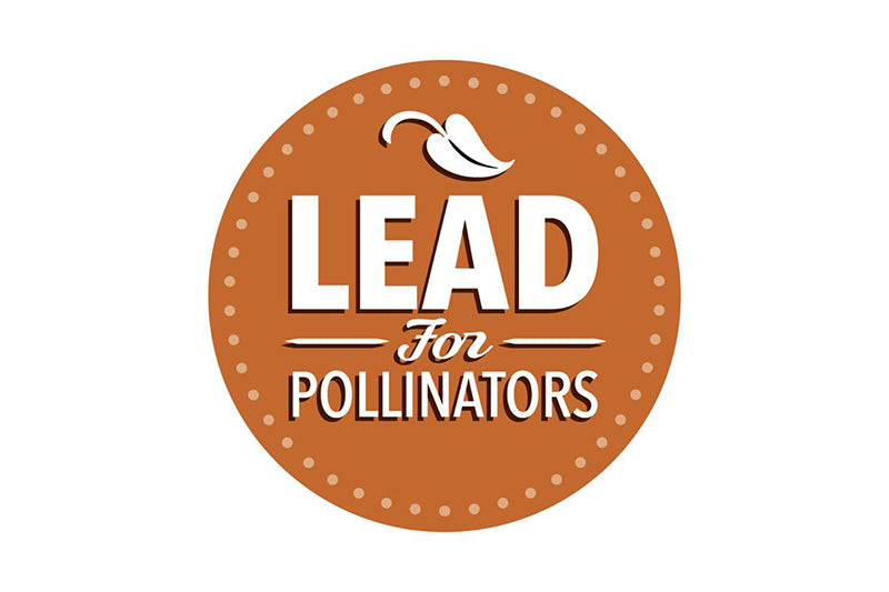 LEAD for Pollinators