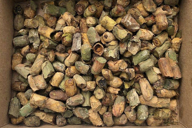WHERE OUR LEAFCUTTER BEES COME FROM