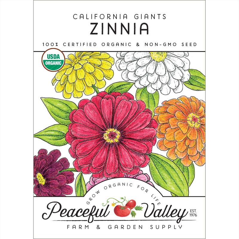 California Giants Zinnia Seeds (Organic)