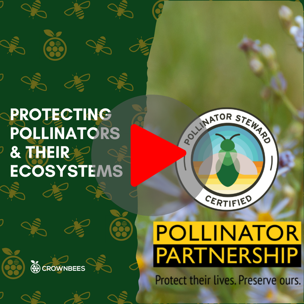 Buy Mason & Leafcutter Bees, Houses & Nesting Materials | Crown Bees