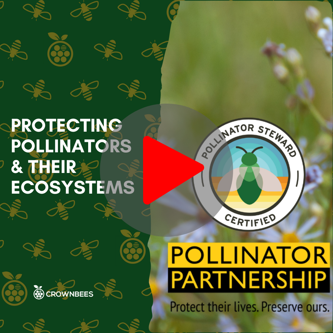 Protecting Pollinators