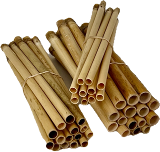 
                  
                    DIY Rewilding Bundle
                  
                