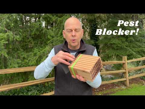 
                  
                    Load and play video in Gallery viewer, Summer Farm Grade Reusable Wood Trays for Summer Leaf Bees - 6mm
                  
                